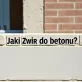 Jaki żwir do betonu